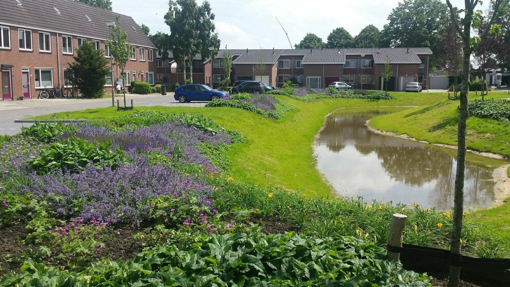 Wadi Bloemrijk - jonkers hoveniers2.jpg