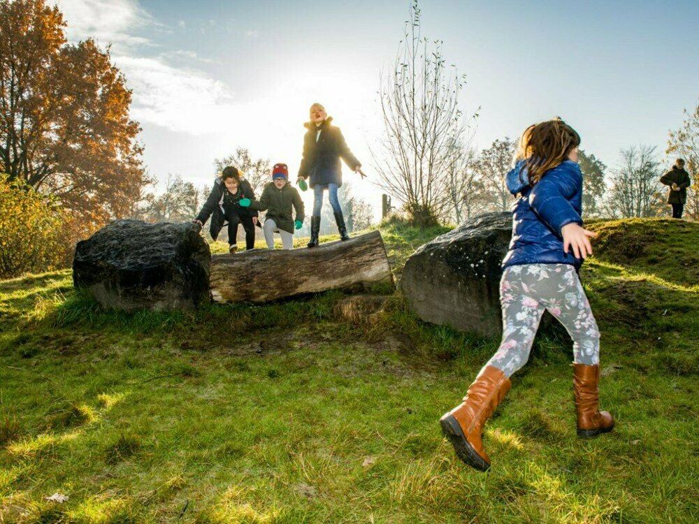 Spelende kinderen in het groen.jpg